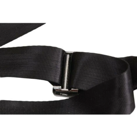 Bambini Che Allacciano La Cintura Di Sicurezza Del Seggiolino Per Auto/nastro Della Superficie Del Fermo - immagine 3