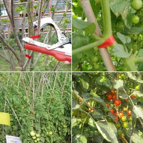 Legatrice Per Rami, Strumento Per Legare Le Piante Da Agricoltura Manuale, Per Giardino, Frutta, Verdura, Fiori, Pomodori, Vite, Strumento Per Il Giardinaggio, Per Legare I Rami - Strumento Per Legare - immagine 5